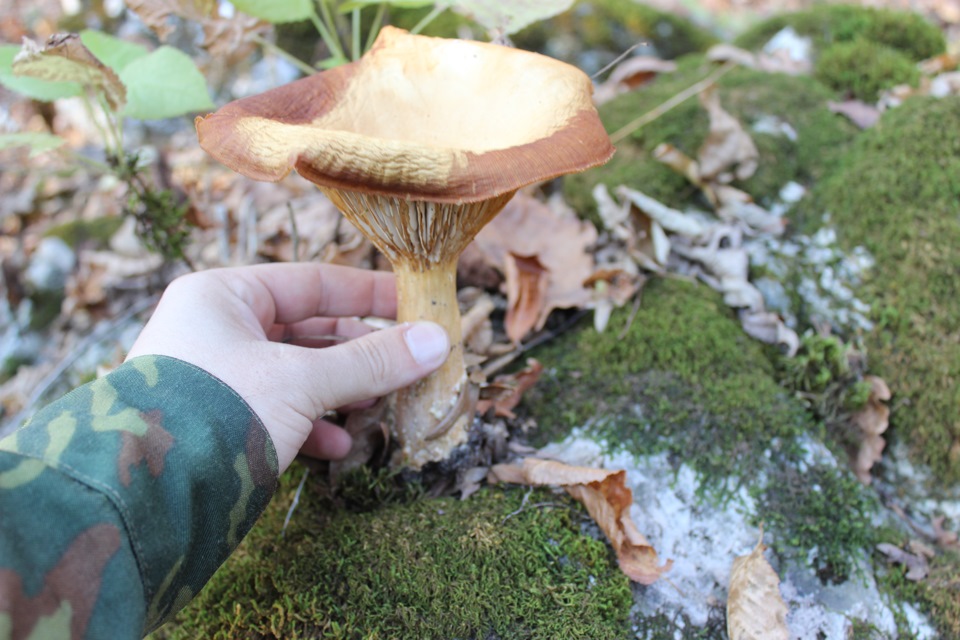 27.10.13 Мезмай-гора Матук (1975 метров) — Lada 4x4 3D, 1,7 л, 2007 ...