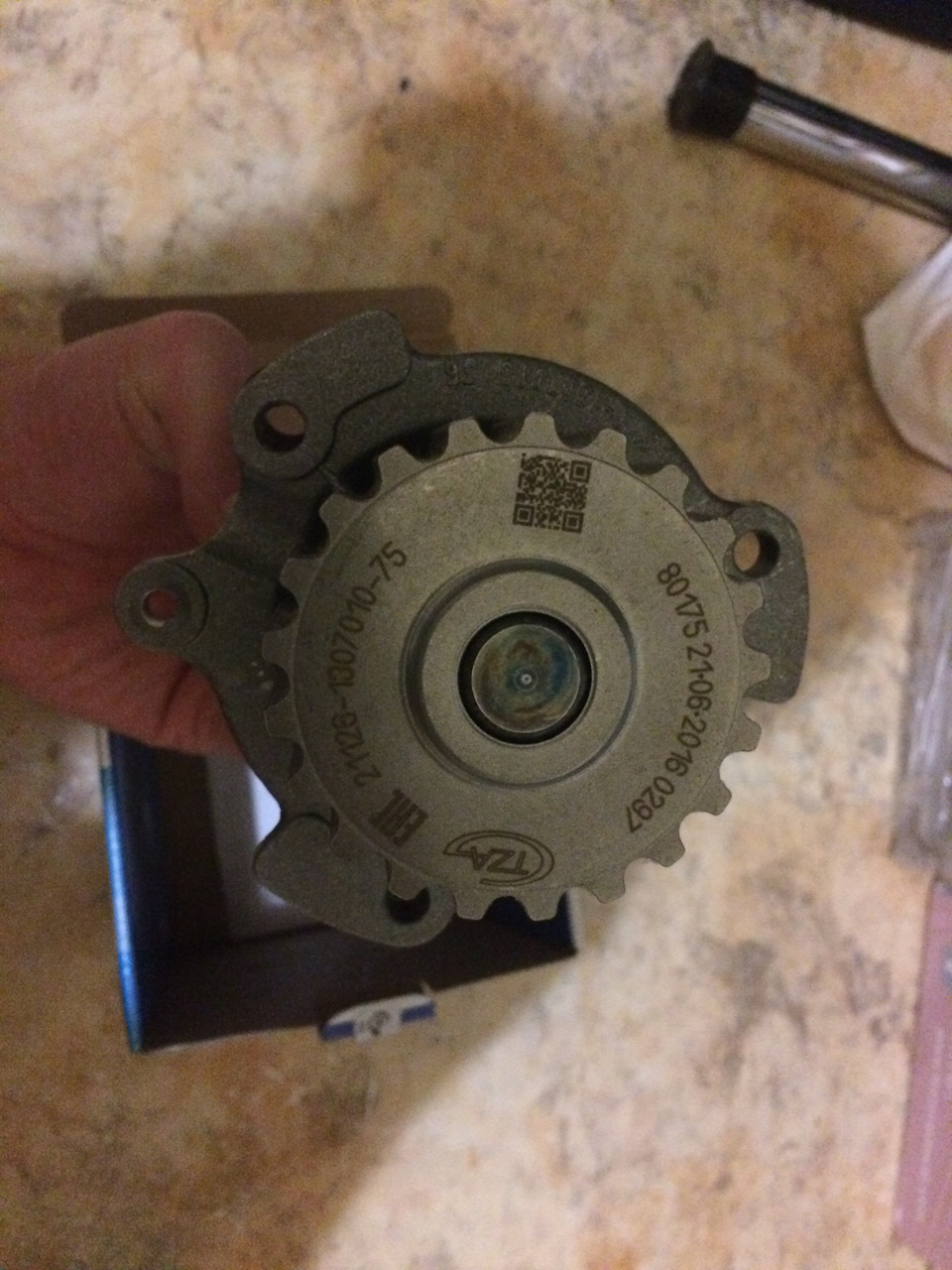 Масло в свечных колодцах, грм, помпа, датчик педали сцепления (Зима ...