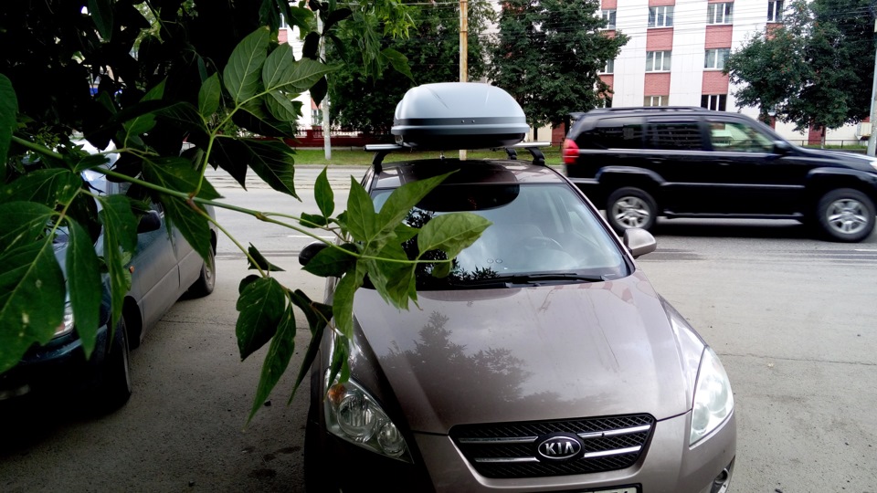 Замена сцепления — KIA Ceed (1G), 1,6 л, 2009 года | визит на сервис ...