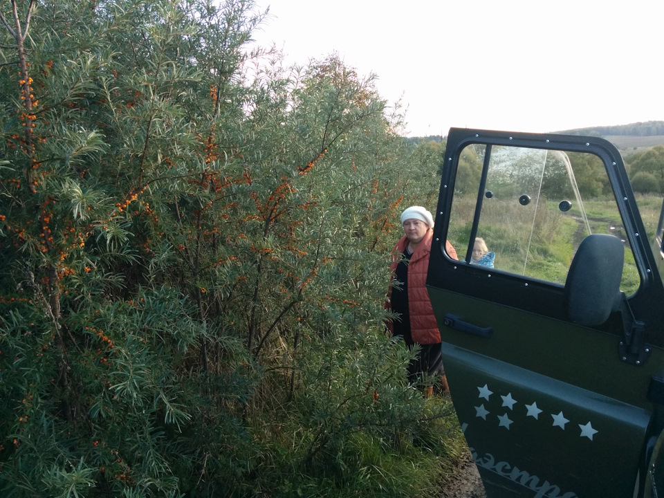 Фото в бортжурнале УАЗ 315195 Hunter