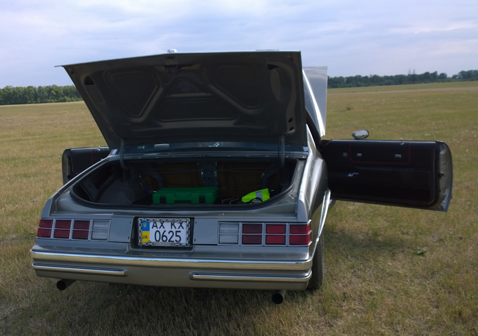 Фото в бортжурнале Chevrolet Monte Carlo III