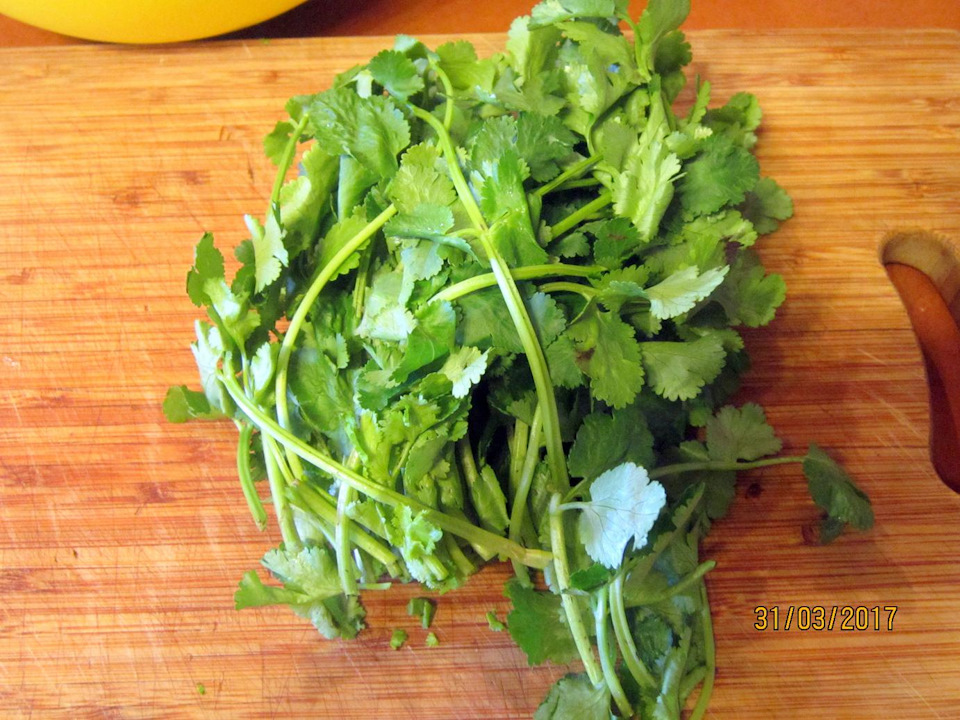 Хорошо моем один пучок кинзы.