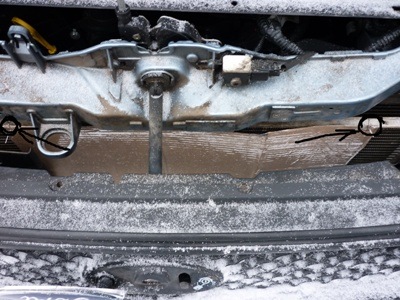 картонка на радиатор калина