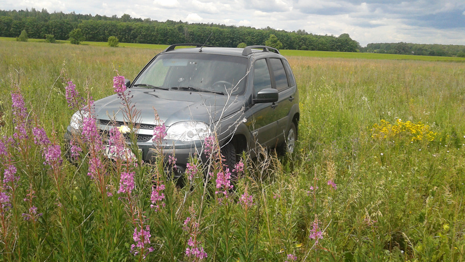 Chevrolet Niva LE+, цвет "Сочи"