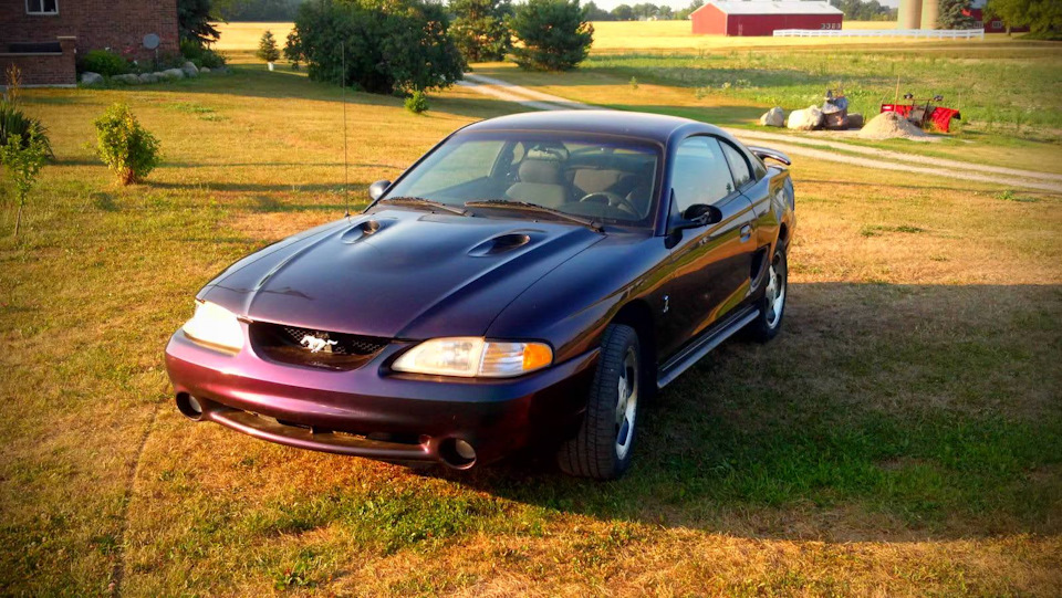 Shelby mustang cobra спортивные автомобили