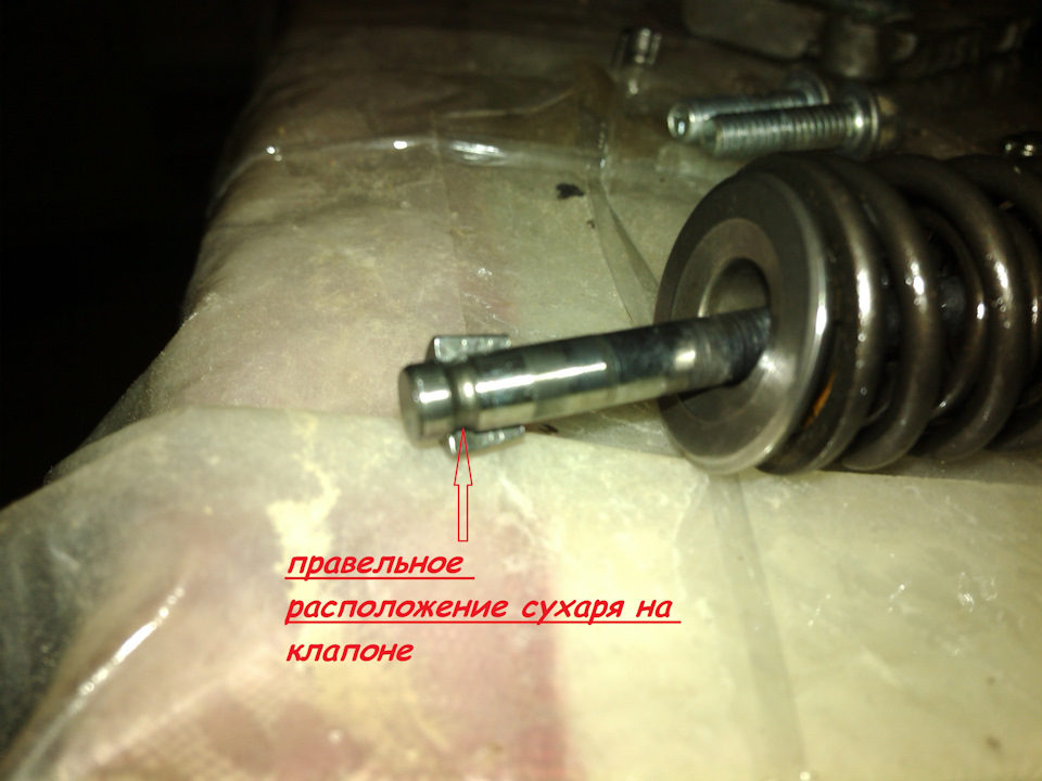 замена маслосъёмных колпачков на мопеде альфа и орион. — DRIVE2