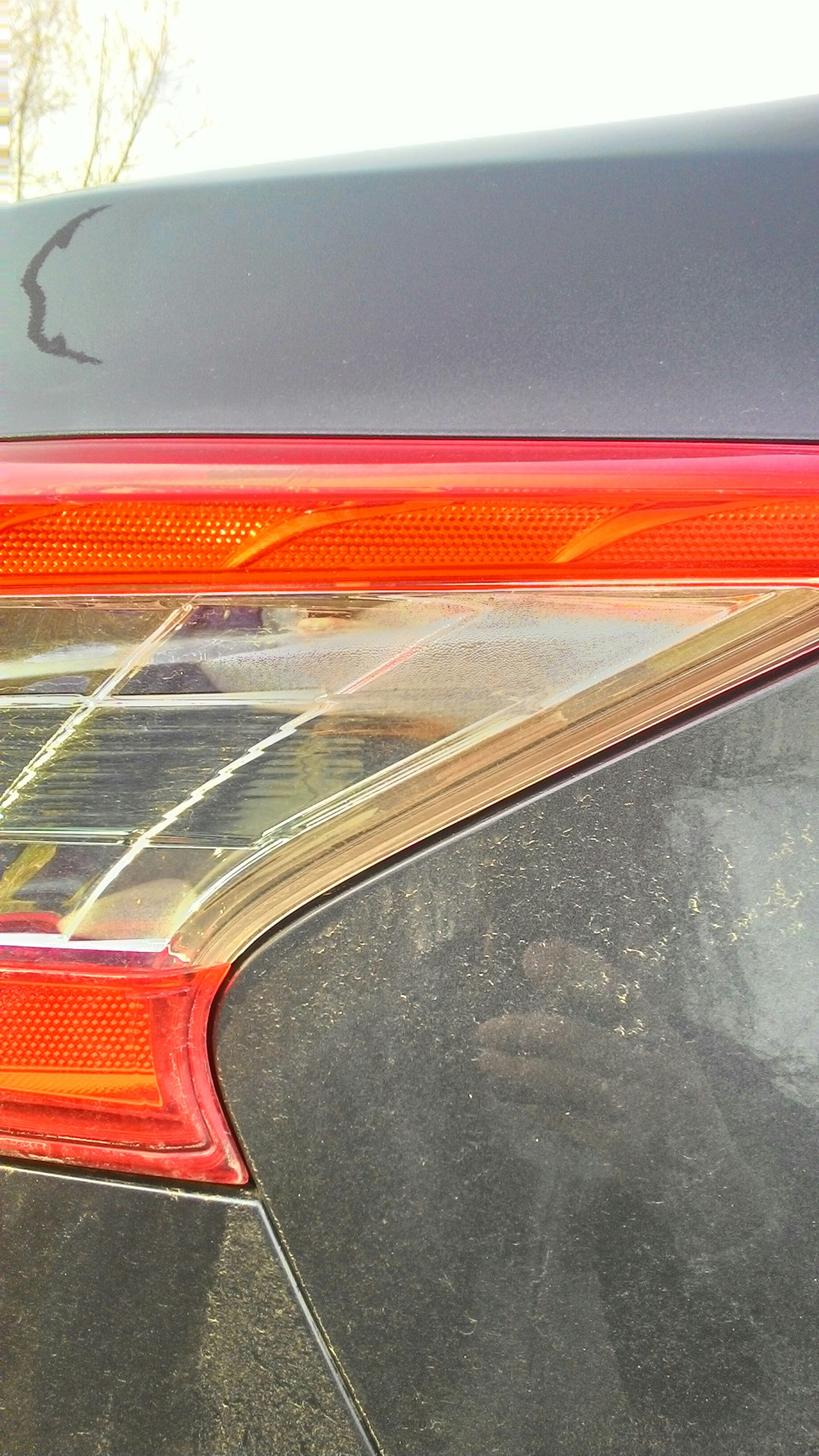 Потеют задние фонари — Nissan Sentra (B17), 1,6 л, 2016 года ...