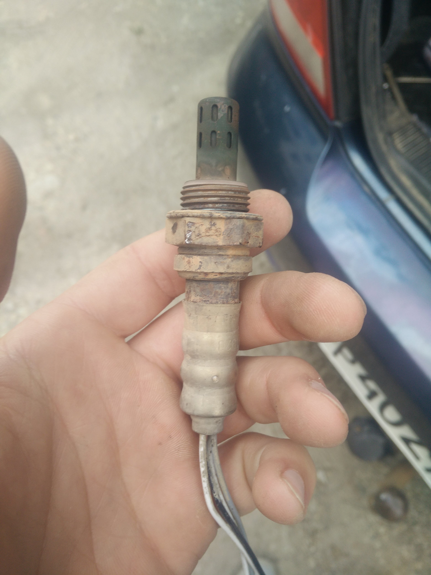 Фишка лямбда зонда ниссан кашкай 4 контакта. Лямбда на альмера классик. Лямбда на альмера классик. H8200495791 датчик кислорода оранжевый. Кислородный датчик ниссан силфи.