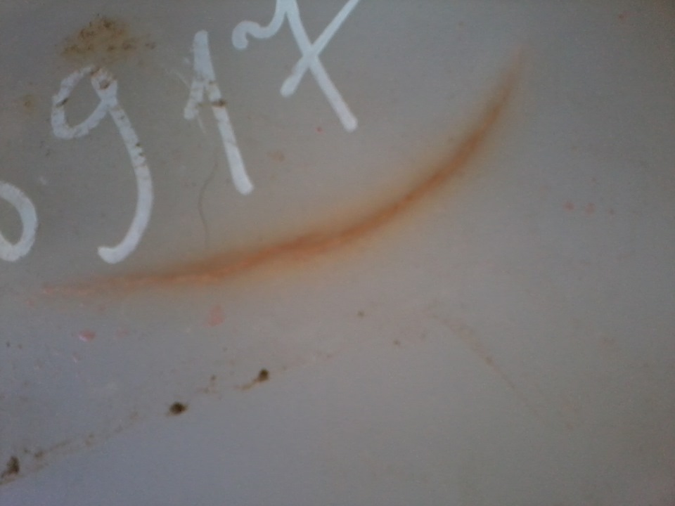 Расширительный бачок и доработка его крышки — Lada 2114, 1,6 л, 2012 ...