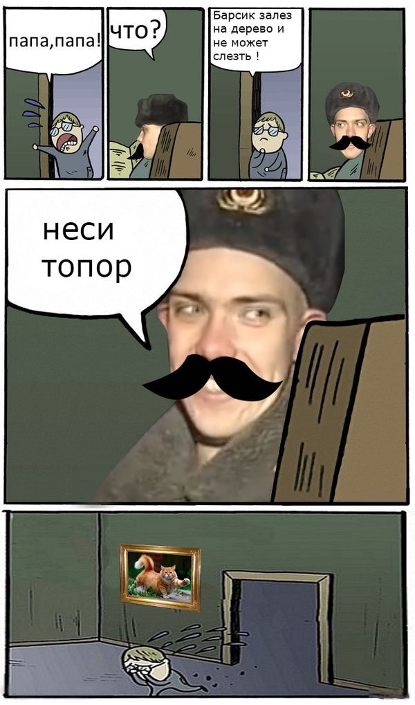 Зато я спас кота