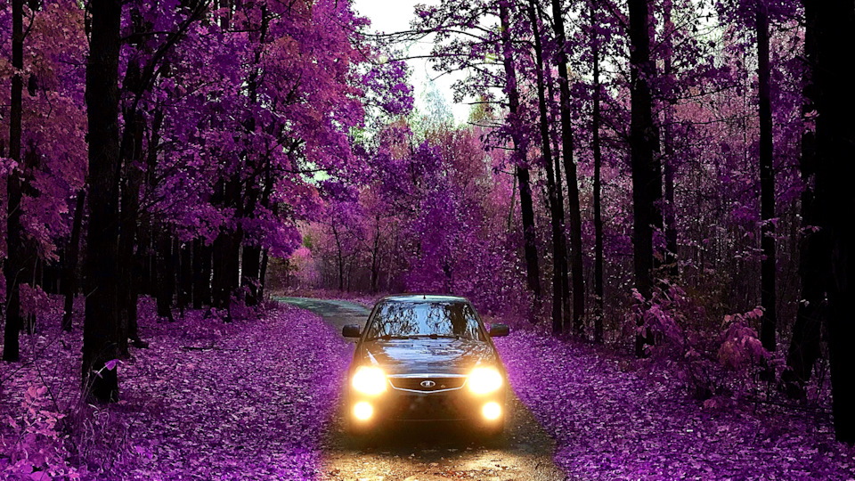 Lada Приора седан 1.6 бензиновый 2012 | Ницца на DRIVE2