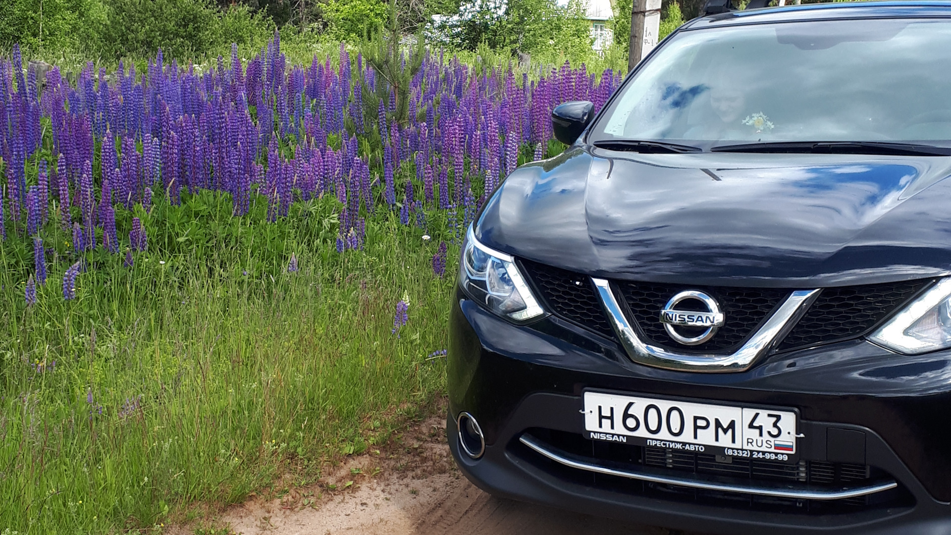 Nissan Qashqai (2G) 2.0 бензиновый 2019 | пантера на DRIVE2