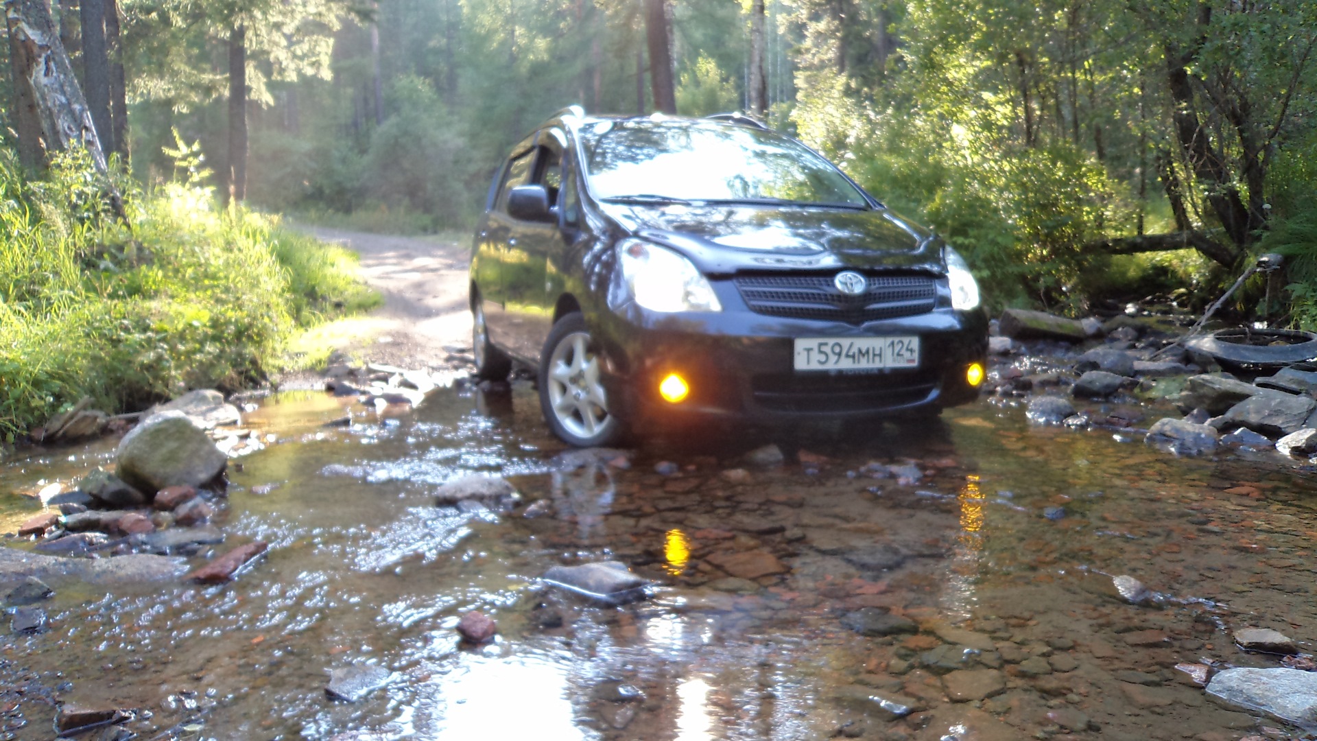 Toyota Corolla Verso 1.6 бензиновый 2003 | авто выходного дня на DRIVE2