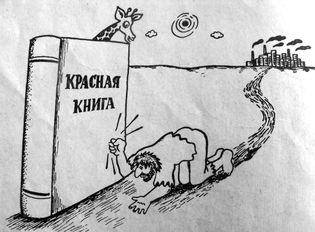 Карикатура план маршала