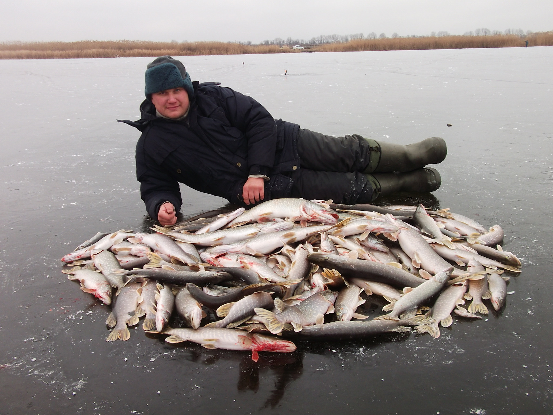 Улов 8. Много рыбы на льду. Улов зимой. Первый лед рыбалка. Хороший улов зимой.