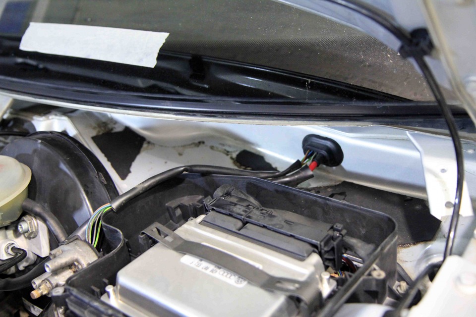 4ceeca8s 960 ΠΠ°ΠΊΠ»Π°Π΄ΠΊΠ° ΠΏΠΎΠ΄ ΠΊΠ°ΠΏΠΎΡΠΎΠΌ ΠΊΠ°ΠΊ Π½Π°Π·ΡΠ²Π°Π΅ΡΡΡ