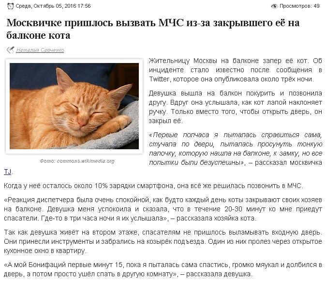 Можно ли закрывать кота на ночь в другой комнате