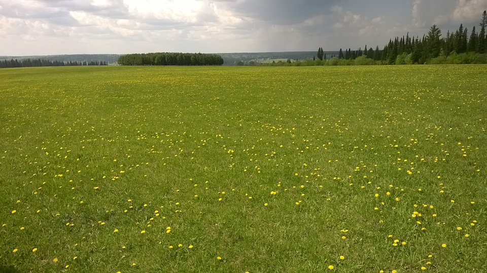 вибрация при включении задней скорости — Mitsubishi Pajero (2G), 2,8 л ...