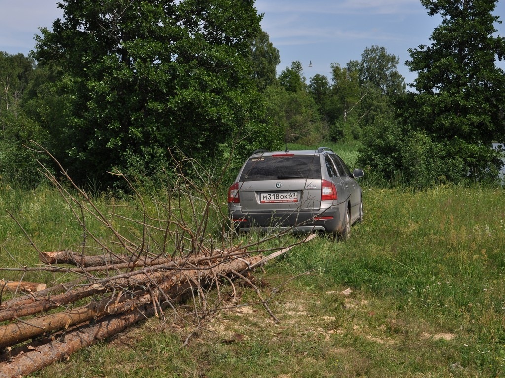 Зачем нужен дизель — Skoda Octavia Scout A5 Mk2, 2 л, 2011 года |  путешествие | DRIVE2