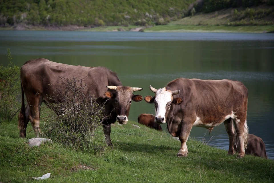 South Ossetia People lived