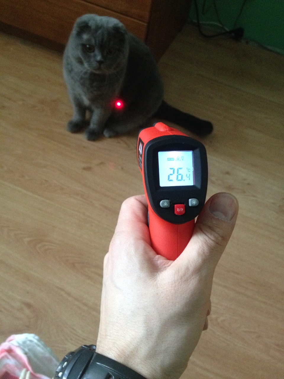 Пирометр ADA TemPro 550 — Toyota Sprinter Trueno (110)