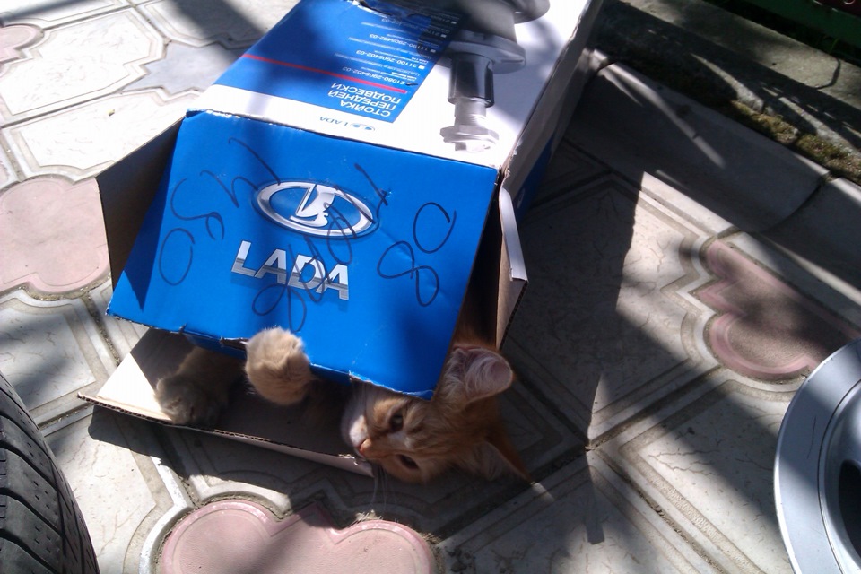 •Наконец-то пришло время перебрать переднюю подвеску — Lada 2114, 1,5 л ...