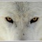 Какая машина лучше мазда или бмв. Смотреть фото Какая машина лучше мазда или бмв. Смотреть картинку Какая машина лучше мазда или бмв. Картинка про Какая машина лучше мазда или бмв. Фото Какая машина лучше мазда или бмв