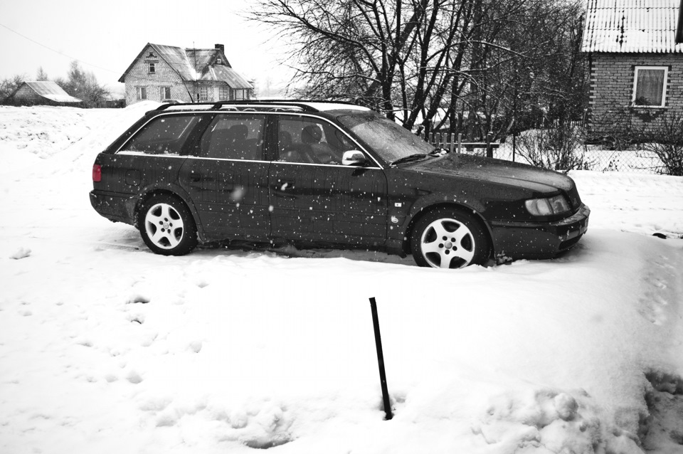 Пару фото на "новых" дисках — Audi A6 (C4), 2,5 л, 1997 года колёсные диски DRIVE2