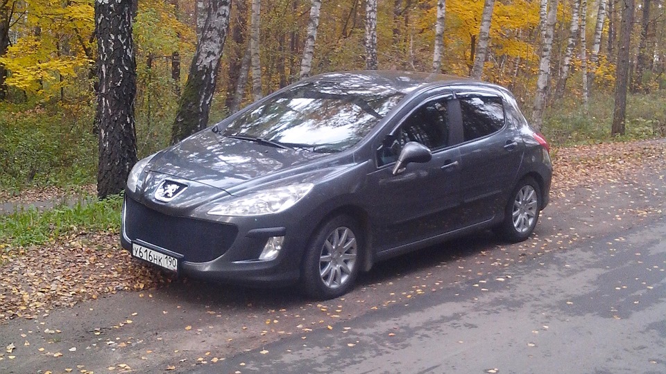 Пежо 308 drive2. Пежо 308. Пежо 308 drive2. Peugeot 308 2008. Пежо 308 квадратные номера.