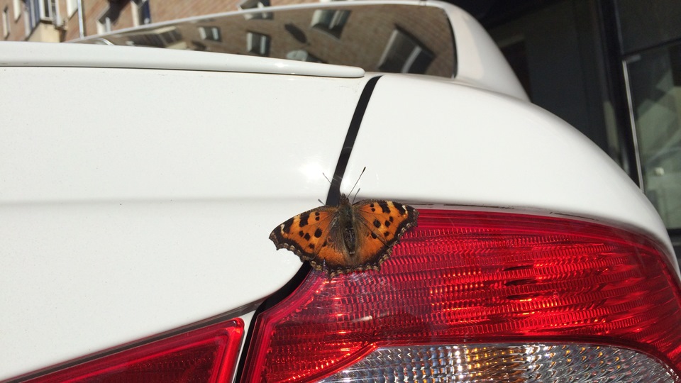 Журчит и цокает на холодную — Skoda Superb Mk2, 1,8 л, 2012 года ...