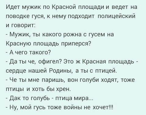 Мужики идите на. Мой Гусь тоже войны не хочет анекдот. Анекдот про гуся. Анекдот про гуся на красной площади. Гусь войны не хочет анекдот.