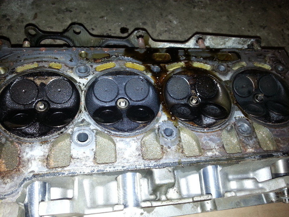 Фото в бортжурнале Volkswagen Tiguan (1G)