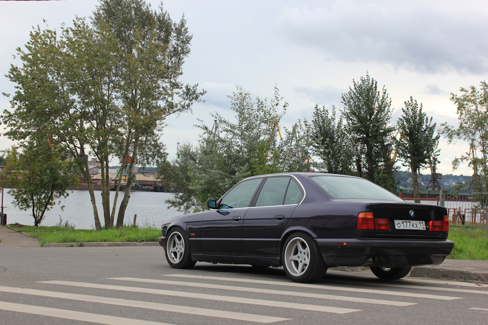 4d61cces-960.jpg