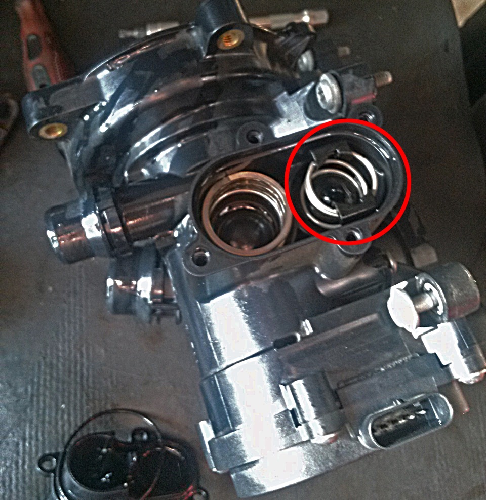 Вид снизу. В кружке торец термостата. Он просто вынимается, не выкручивается. — Audi A3 Sportback (8VA)