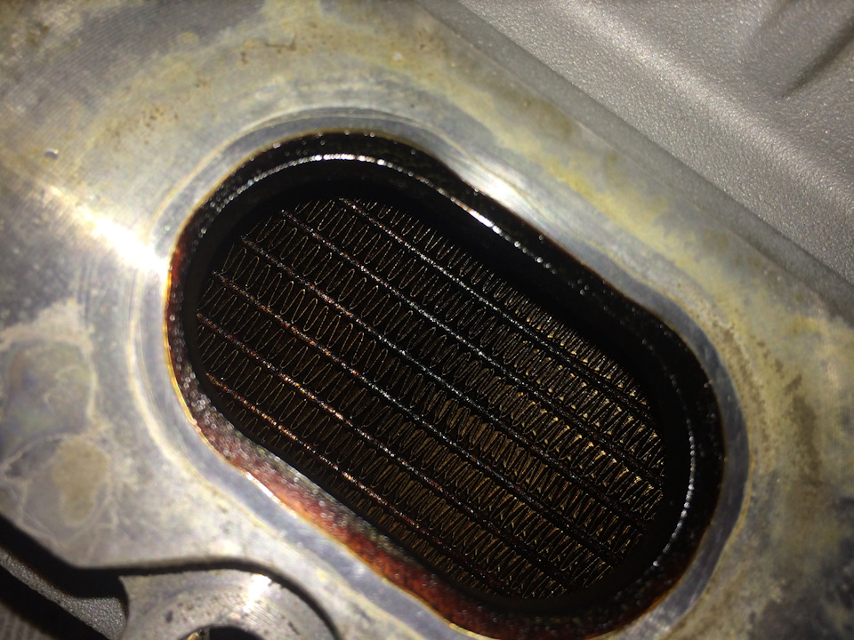 Соты в масле — Audi S4 (B8)