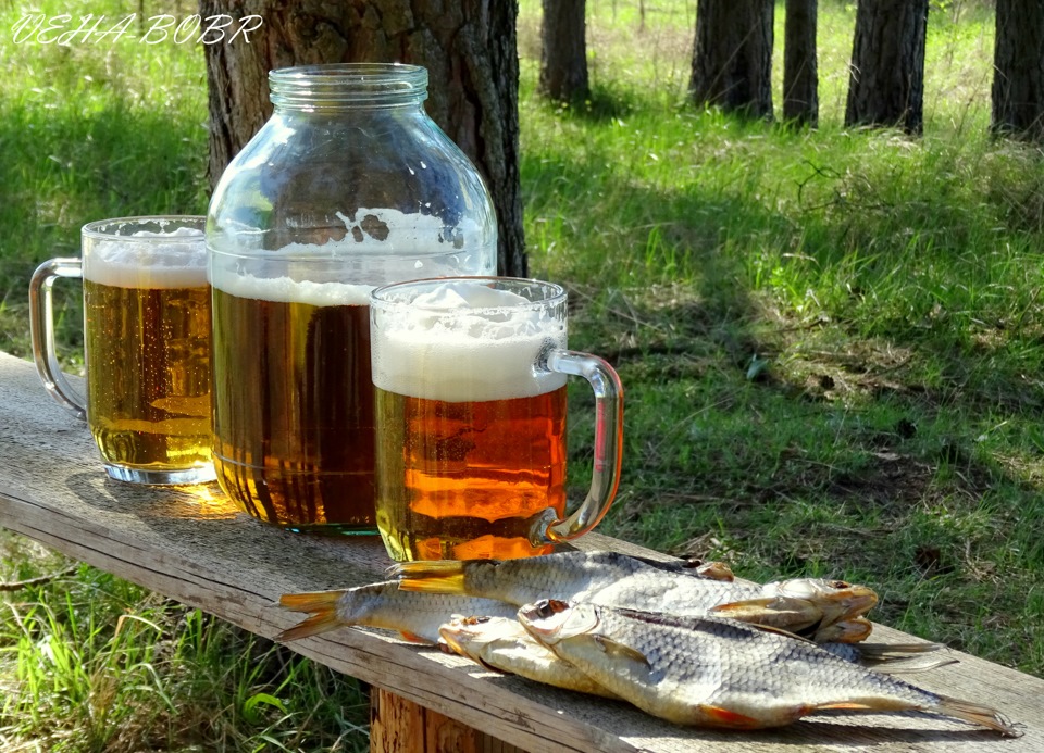 Пиво Советское В Трехлитровой Банке Купить