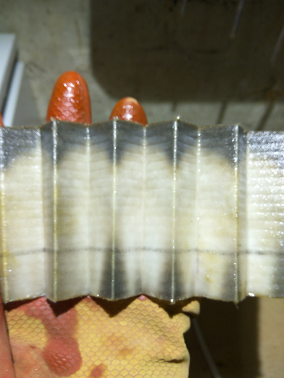 под другой лампой — SsangYong Rexton (2G)