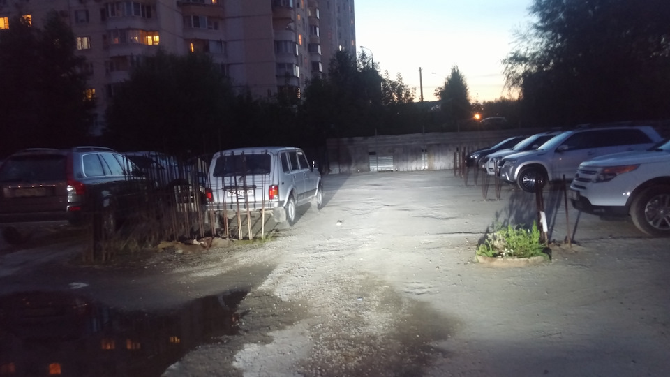 Здесь видно что свет белый — Skoda Octavia A7 Mk3