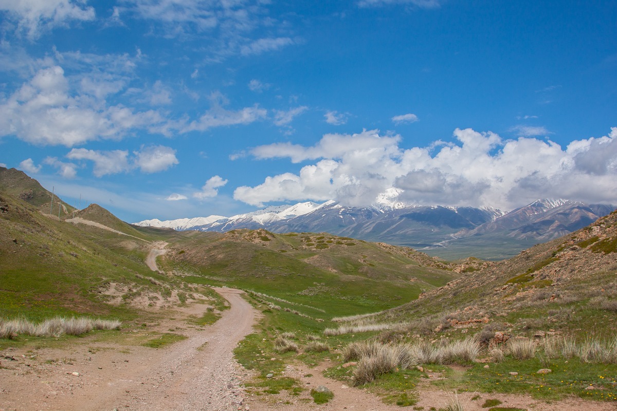 Джунгария. Пустыня Джунгария. Северная Джунгария. Кугалы Алматинская область.