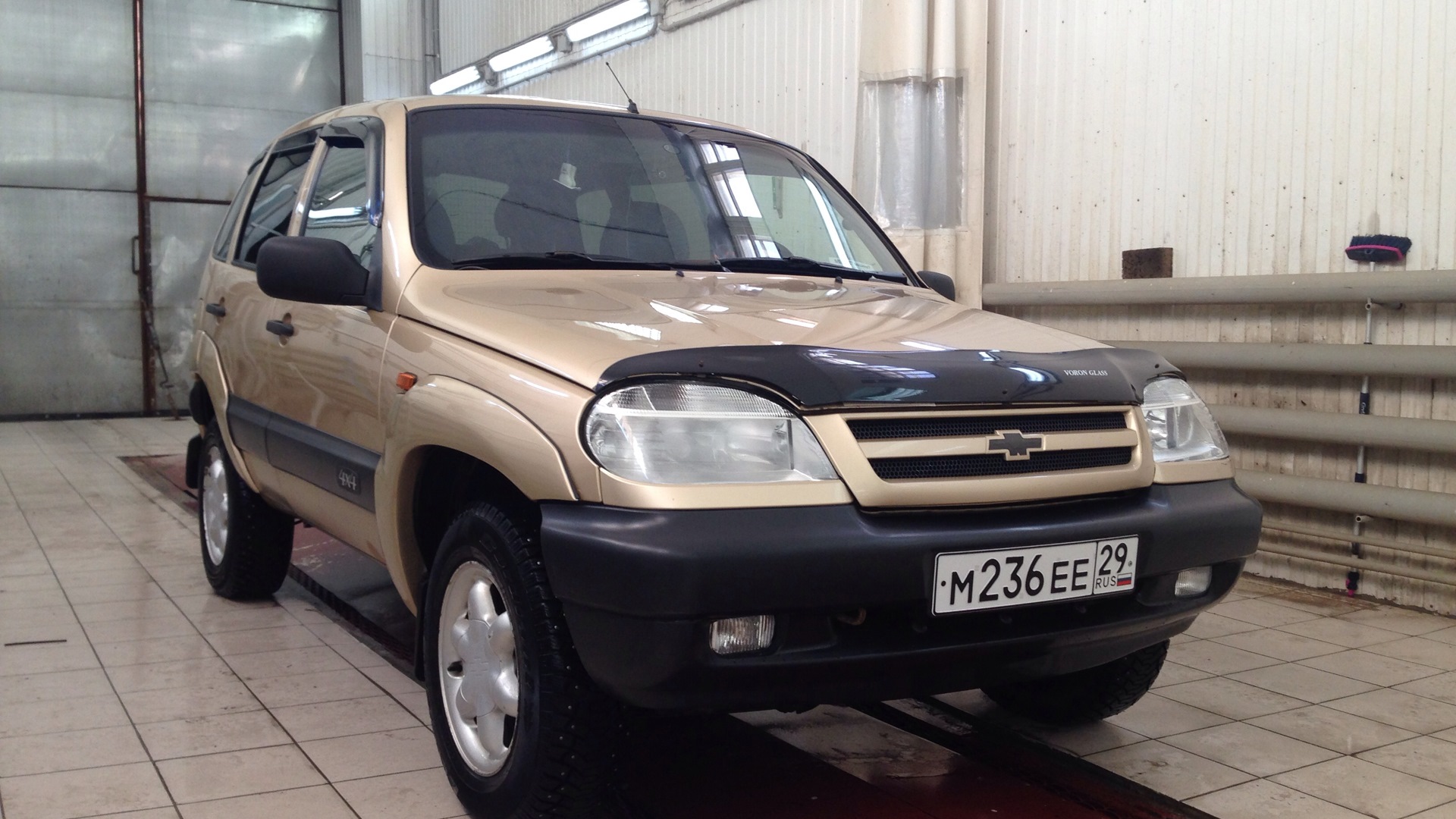 Chevrolet Niva 1.7 бензиновый 2004 | ЗОЛОТАЯ НИВАЛЬДИ на DRIVE2