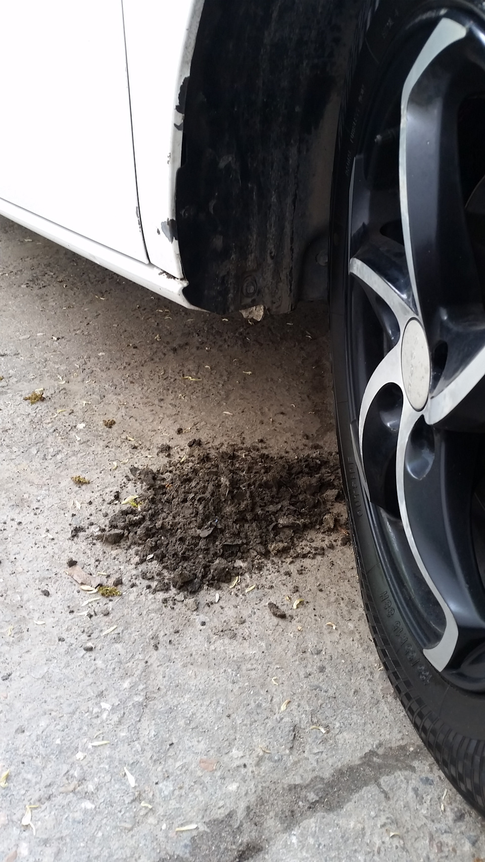 Грязь под подкрылками — SEAT Ibiza (6J), 1,4 л, 2009 года | своими ...