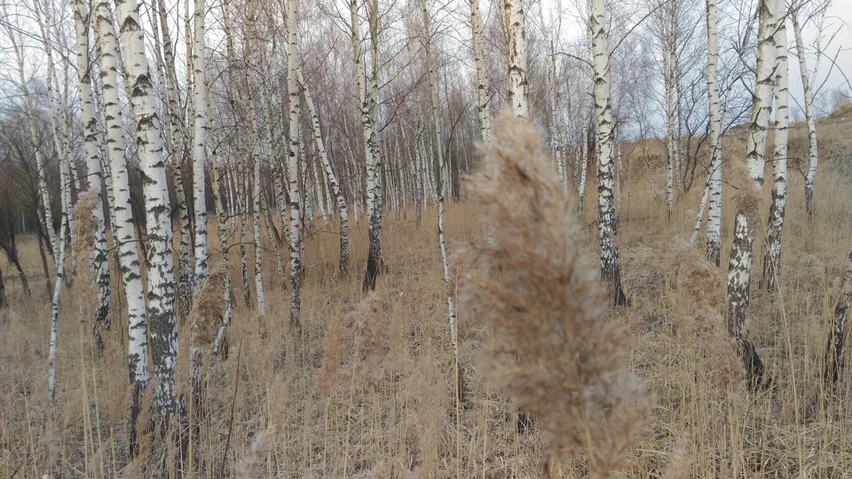 Как прекрасно иметь Ниву и хай джек — Lada 4x4 3D, 1,6 л, 1980 года ...