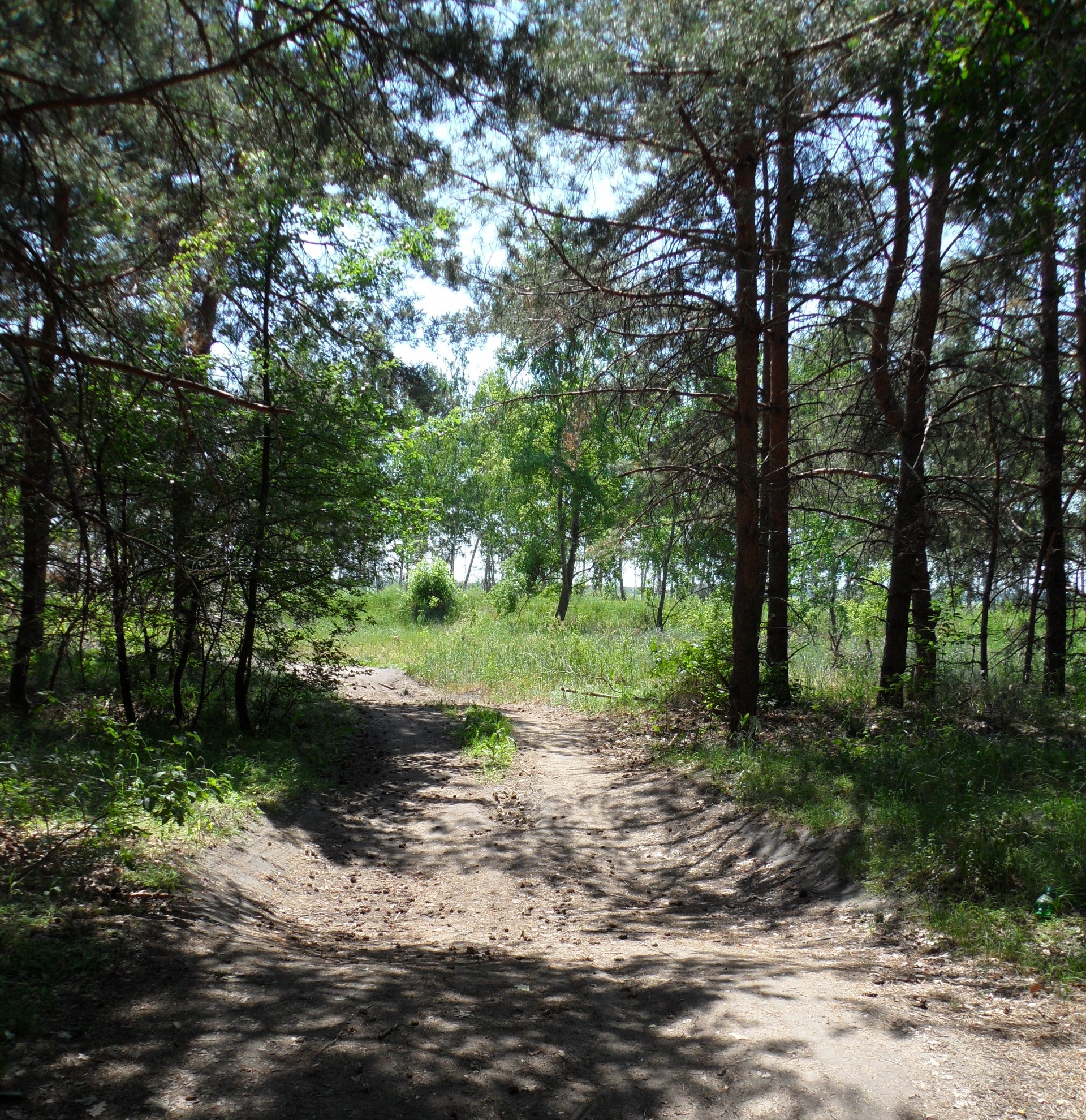 Подгорное воронеж фото