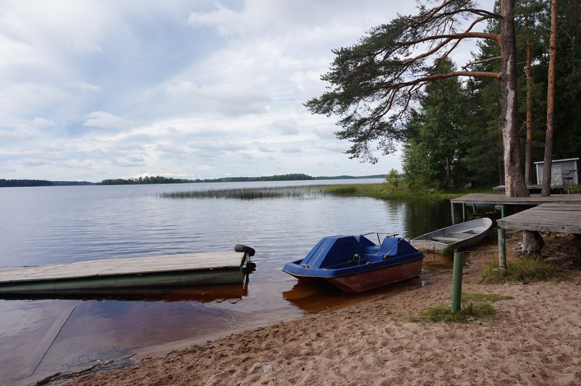 Озеро велье новгородская область фото