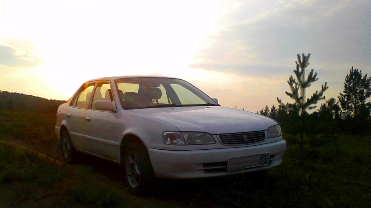 Toyota Corolla (110) 1.6 бензиновый 1999 | 4вд на механике на DRIVE2