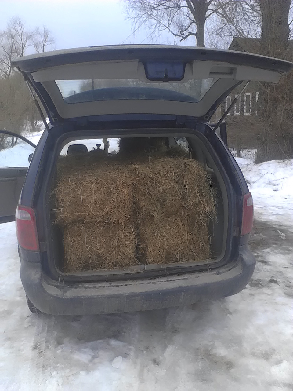 А сколько тюков сена вмещает ваша машина ? ))) — Chrysler Voyager (4G), 2,4  л, 2001 года | просто так | DRIVE2