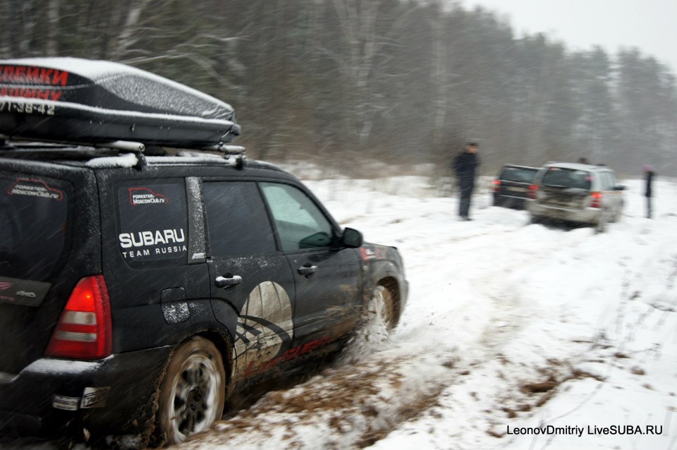 Фото в бортжурнале Subaru Forester (SG)
