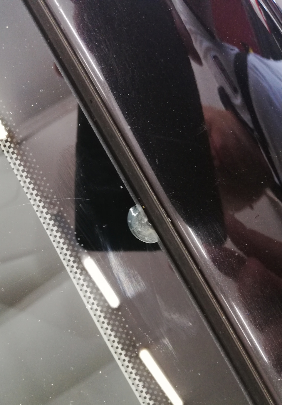 Устранение последствий скола на лобовом стекле — Skoda Octavia A5 Mk2 ...