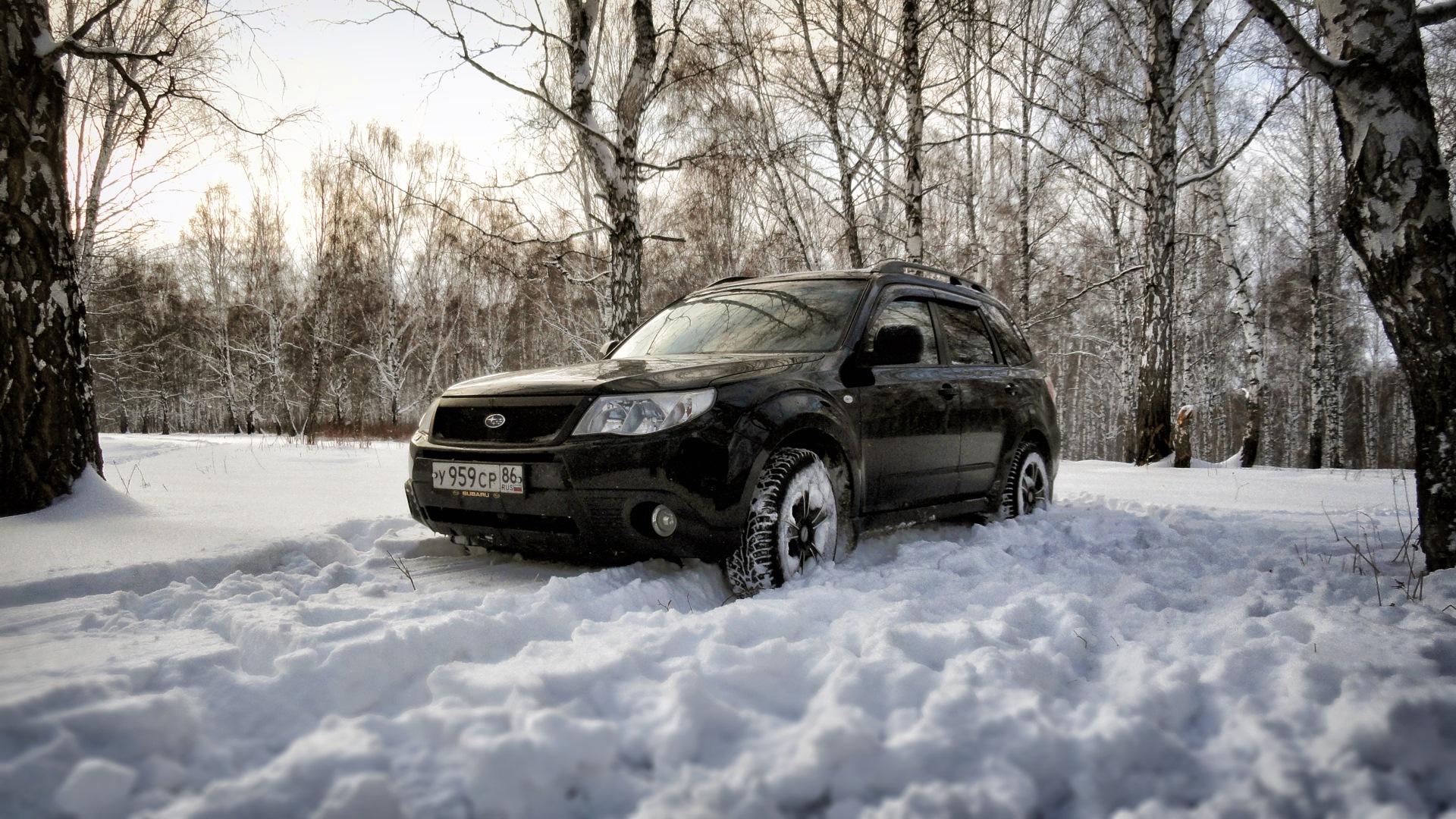 Subaru Forester (SH) 2.0 бензиновый 2008 | Черный Викинг на DRIVE2