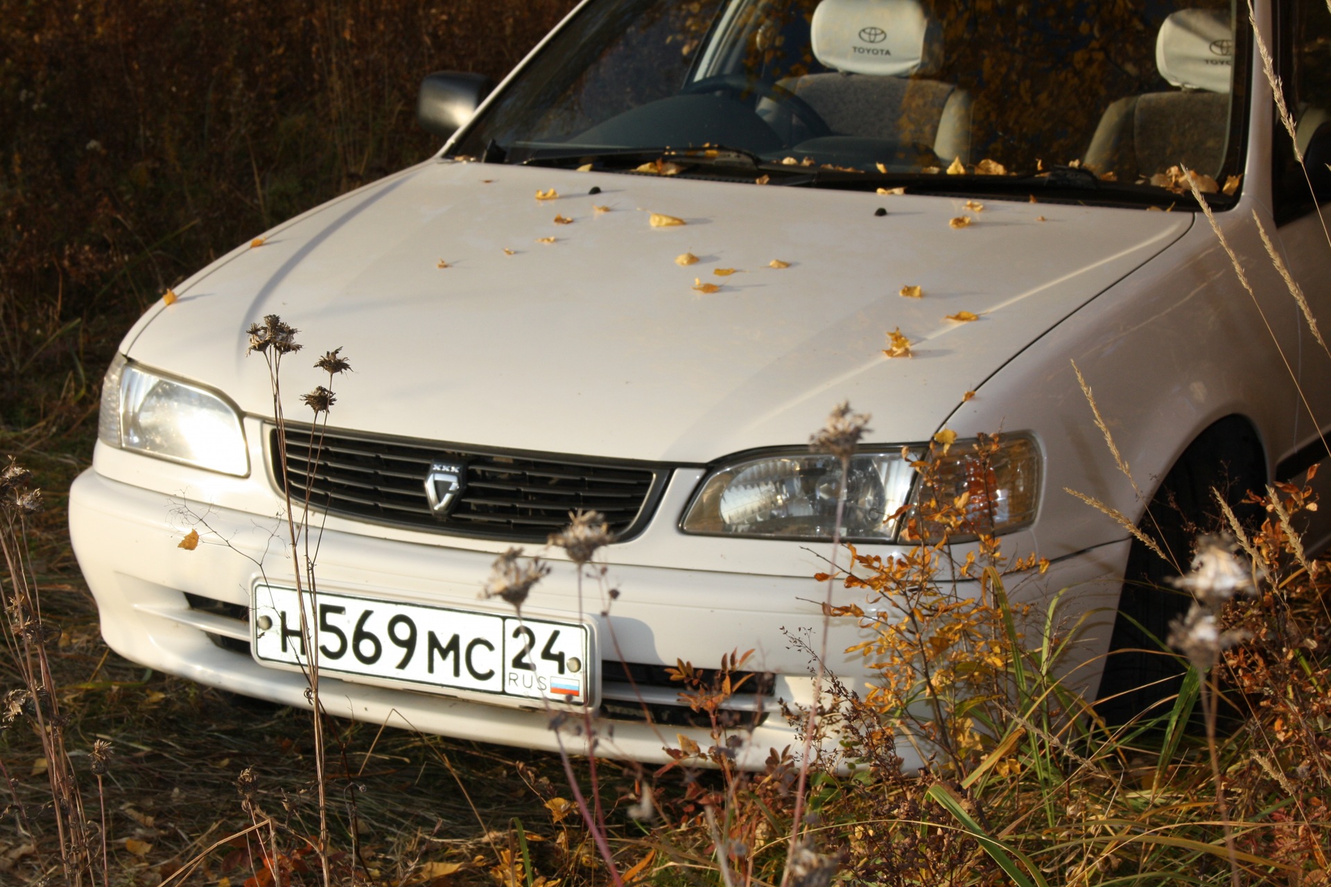 Осень — Toyota Corolla (110), 1,3 л, 2000 года | фотография | DRIVE2